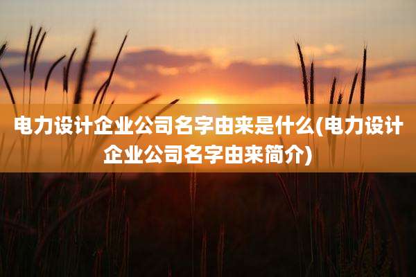 电力设计企业公司名字由来是什么(电力设计企业公司名字由来简介)