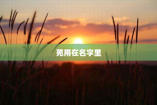 苑用在名字里