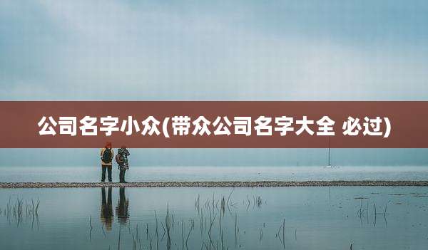 公司名字小众(带众公司名字大全 必过)