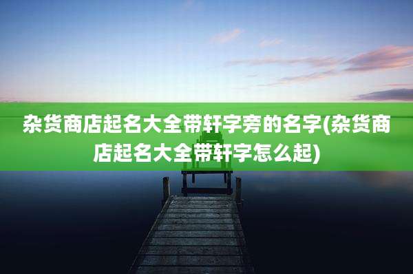 杂货商店起名大全带轩字旁的名字(杂货商店起名大全带轩字怎么起)