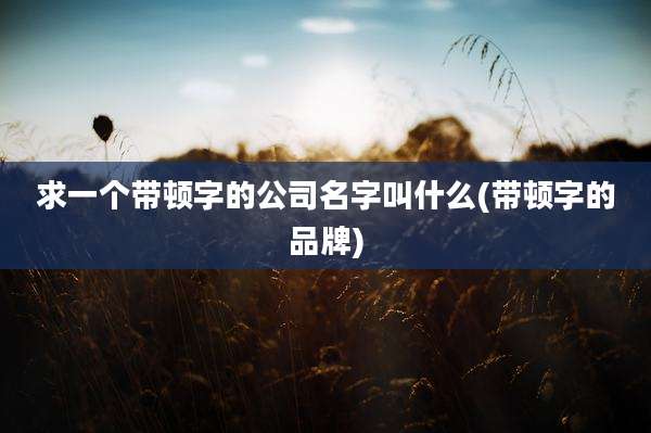 求一个带顿字的公司名字叫什么(带顿字的品牌)