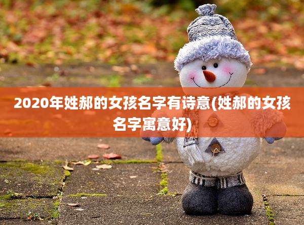 2020年姓郝的女孩名字有诗意(姓郝的女孩名字寓意好)