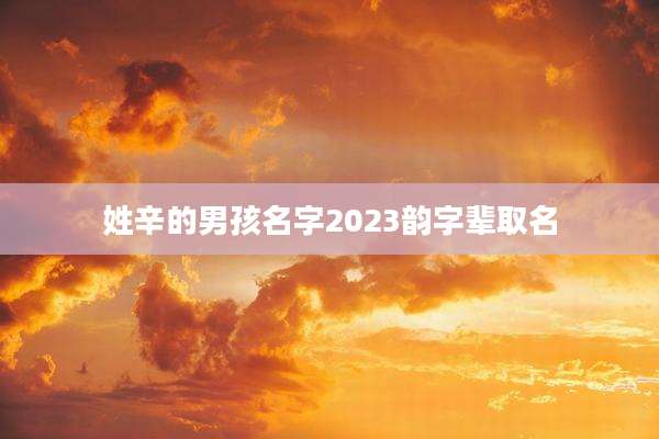 姓辛的男孩名字2023韵字辈取名