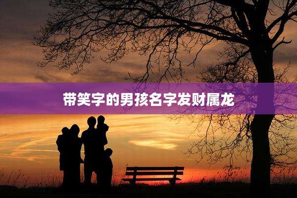 带笑字的男孩名字发财属龙