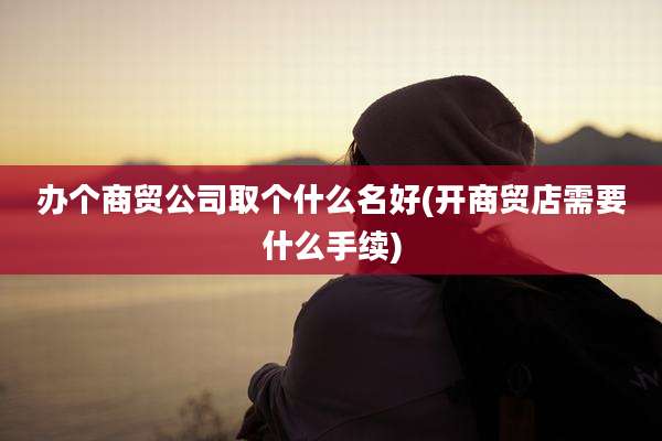 办个商贸公司取个什么名好(开商贸店需要什么手续)