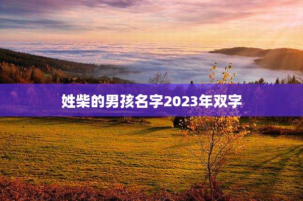 姓柴的男孩名字2023年双字