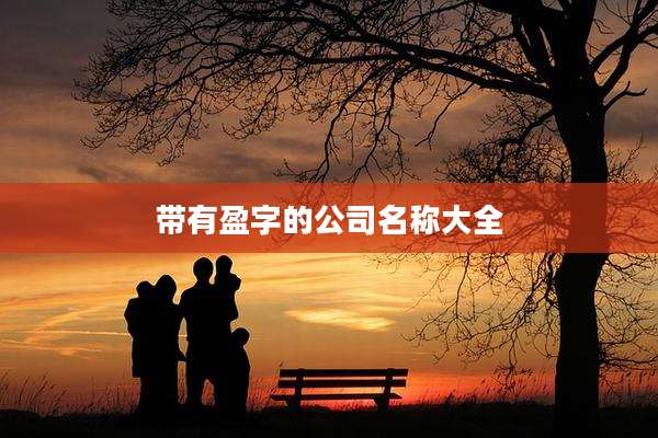 带有盈字的公司名称大全