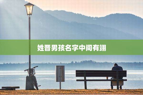 姓晋男孩名字中间有翊