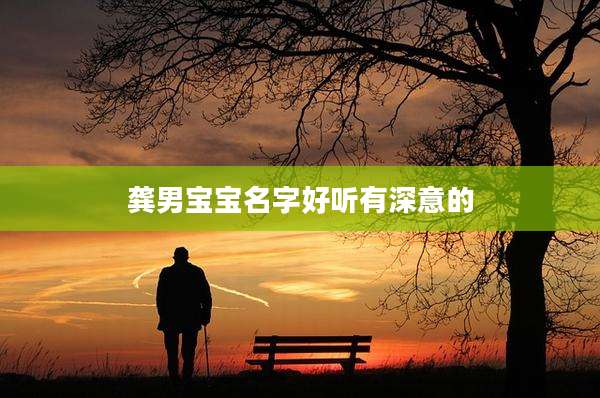 龚男宝宝名字好听有深意的