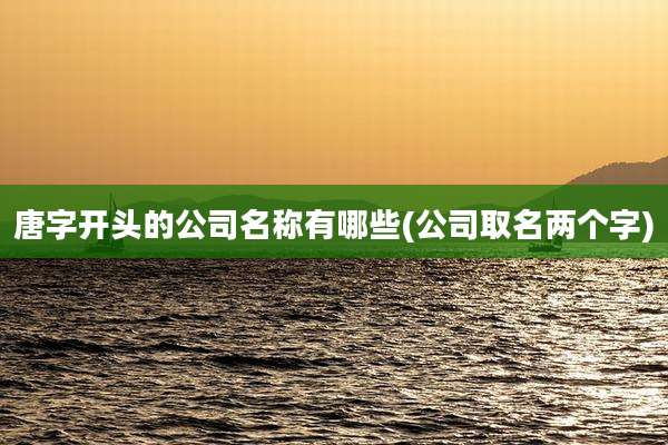 唐字开头的公司名称有哪些(公司取名两个字)