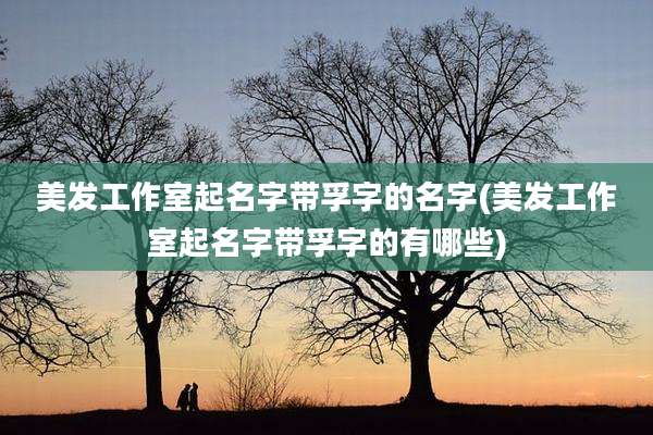 美发工作室起名字带孚字的名字(美发工作室起名字带孚字的有哪些)