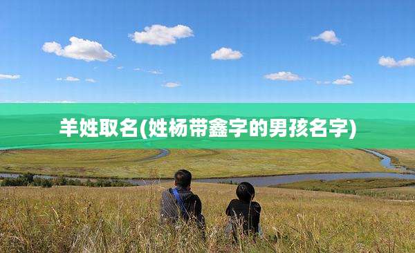 羊姓取名(姓杨带鑫字的男孩名字)