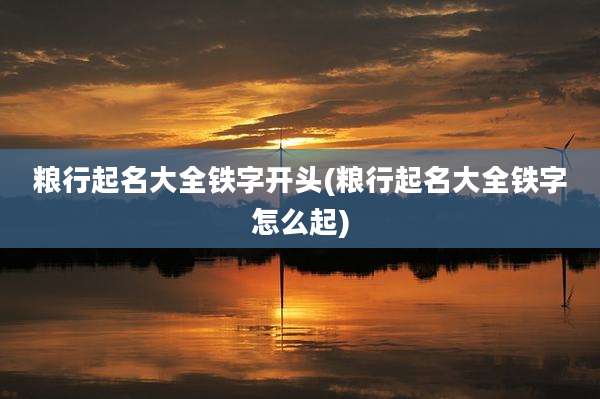 粮行起名大全铁字开头(粮行起名大全铁字怎么起)