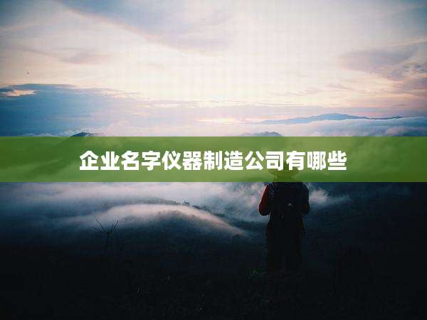 企业名字仪器制造公司有哪些
