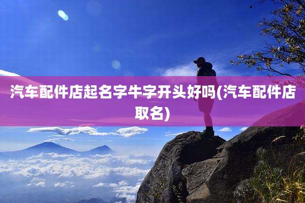 汽车配件店起名字牛字开头好吗(汽车配件店取名)