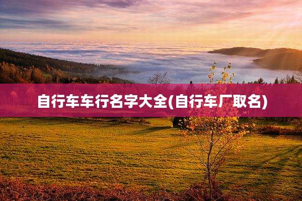 自行车车行名字大全(自行车厂取名)