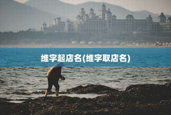 维字起店名(维字取店名)