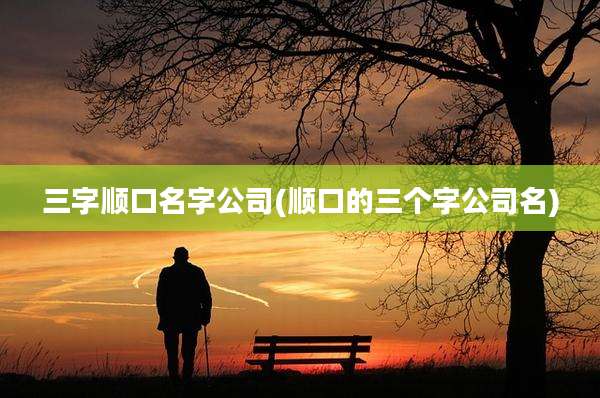 三字顺口名字公司(顺口的三个字公司名)