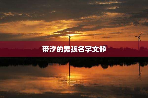 带汐的男孩名字文静