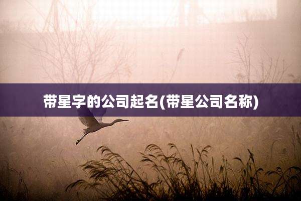 带星字的公司起名(带星公司名称)