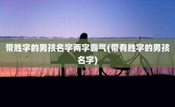 带胜字的男孩名字两字霸气(带有胜字的男孩名字)