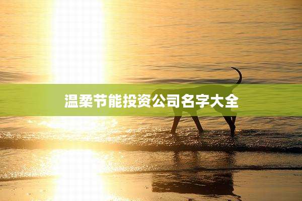 温柔节能投资公司名字大全