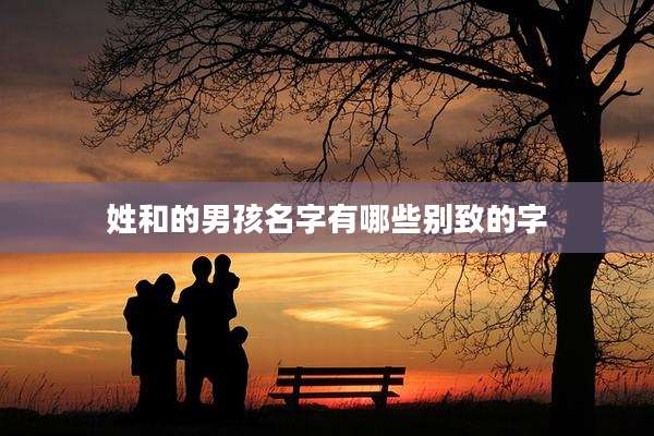 姓和的男孩名字有哪些别致的字