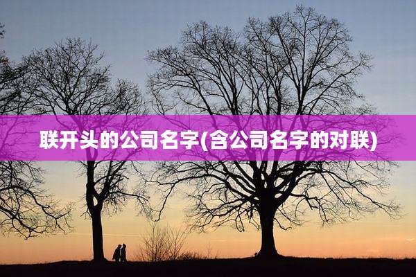 联开头的公司名字(含公司名字的对联)