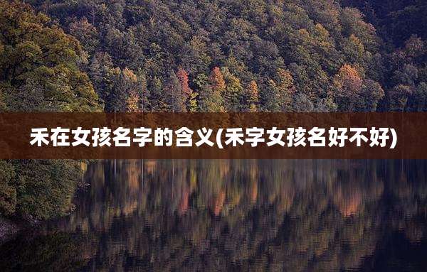 禾在女孩名字的含义(禾字女孩名好不好)