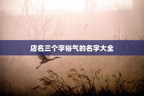 店名三个字俗气的名字大全