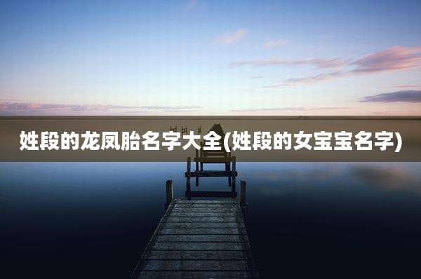 姓段的龙凤胎名字大全(姓段的女宝宝名字)