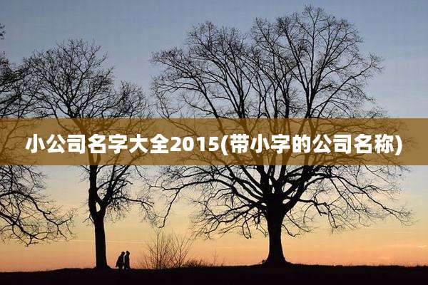 小公司名字大全2015(带小字的公司名称)