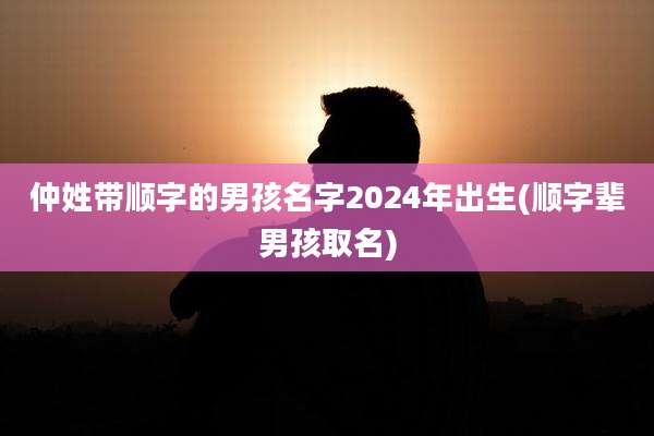 仲姓带顺字的男孩名字2024年出生(顺字辈男孩取名)
