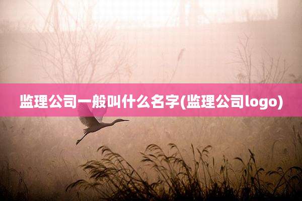 监理公司一般叫什么名字(监理公司logo)