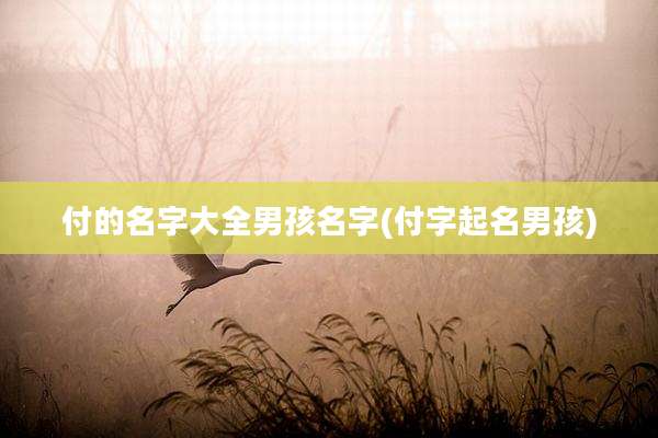 付的名字大全男孩名字(付字起名男孩)
