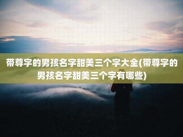 带尊字的男孩名字甜美三个字大全(带尊字的男孩名字甜美三个字有哪些)