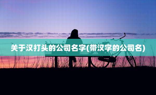 关于汉打头的公司名字(带汉字的公司名)