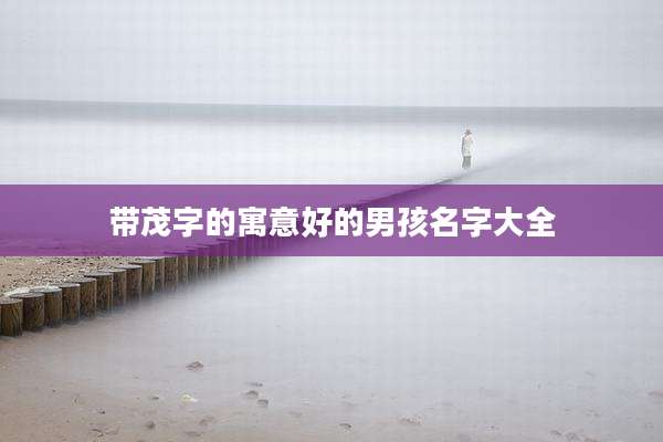 带茂字的寓意好的男孩名字大全