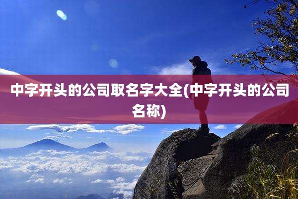 中字开头的公司取名字大全(中字开头的公司名称)