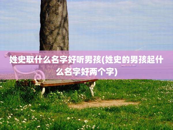 姓史取什么名字好听男孩(姓史的男孩起什么名字好两个字)