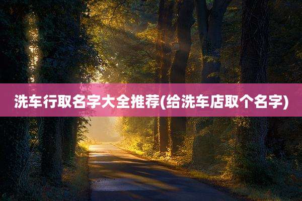 洗车行取名字大全推荐(给洗车店取个名字)