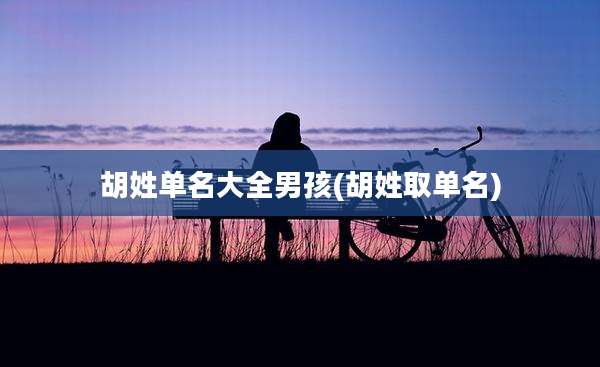 胡姓单名大全男孩(胡姓取单名)