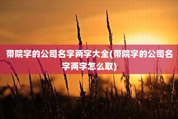 带院字的公司名字两字大全(带院字的公司名字两字怎么取)