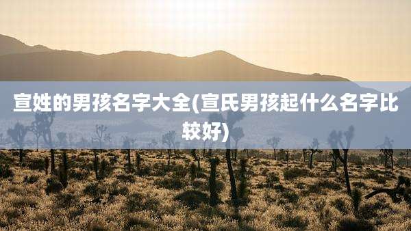 宣姓的男孩名字大全(宣氏男孩起什么名字比较好)