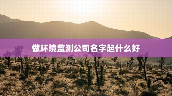 做环境监测公司名字起什么好