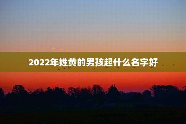 2022年姓黄的男孩起什么名字好