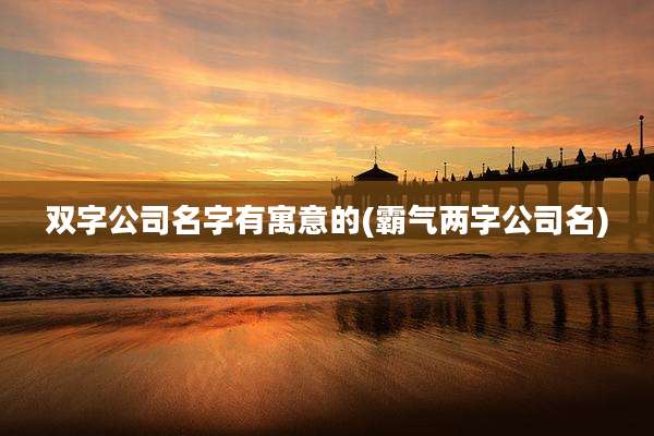 双字公司名字有寓意的(霸气两字公司名)