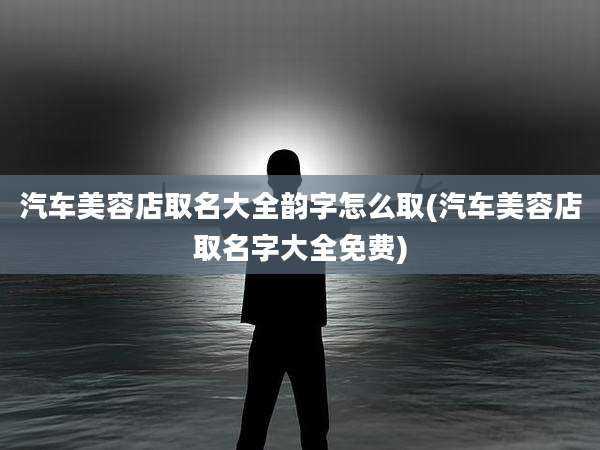 汽车美容店取名大全韵字怎么取(汽车美容店取名字大全免费)