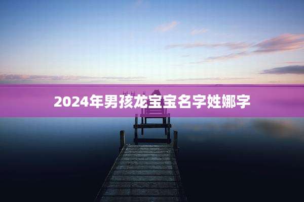 2024年男孩龙宝宝名字姓娜字
