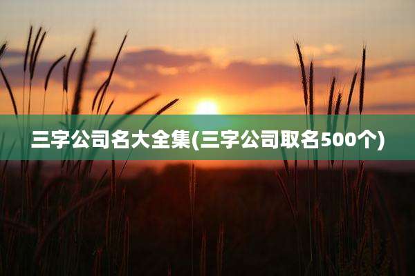 三字公司名大全集(三字公司取名500个)